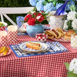 Blue Woven Check Straw Placemats, Set of 4