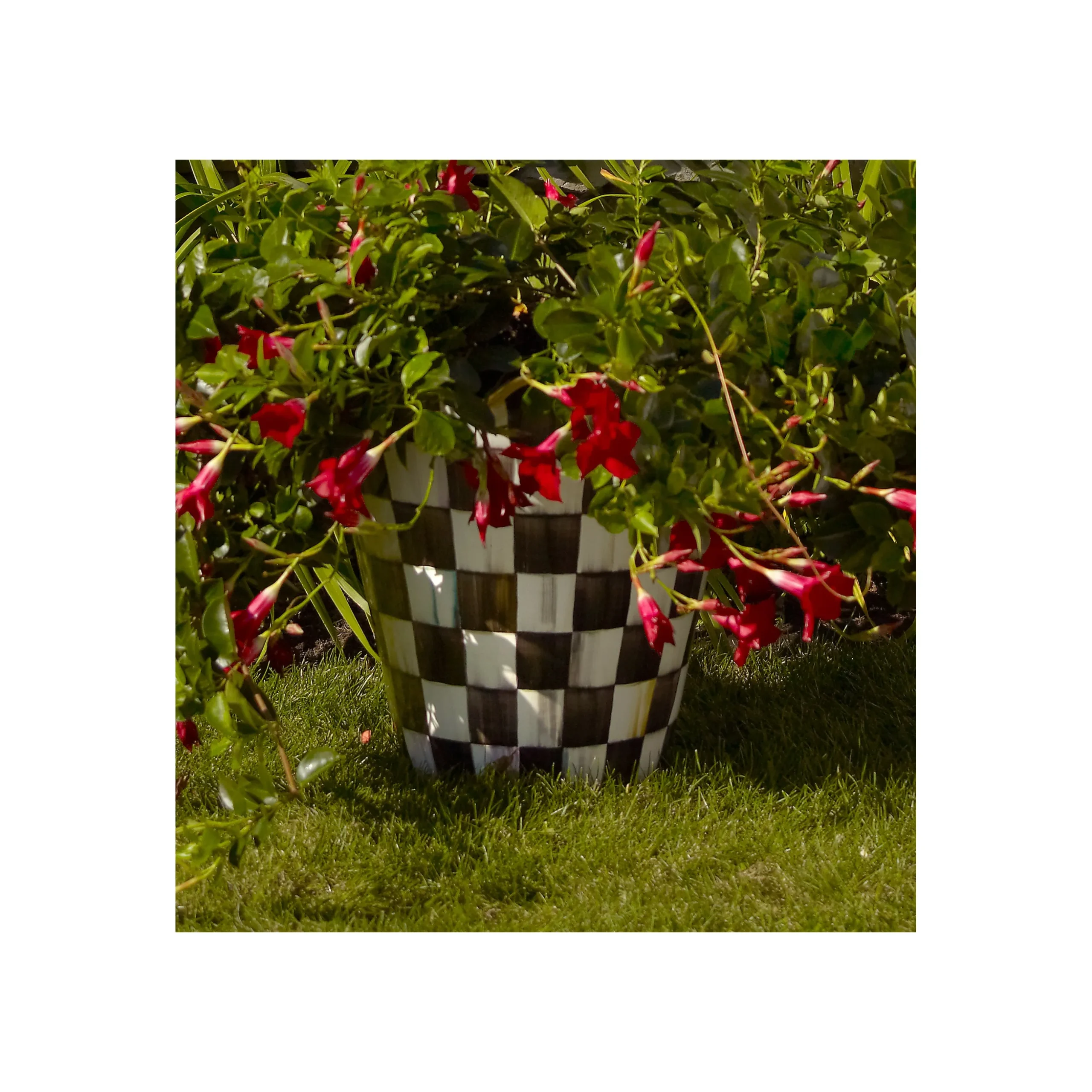 Courtly Check Ceramic Jumbo Garden Pot