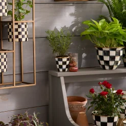 Courtly Check Herb Pots, Set of 3