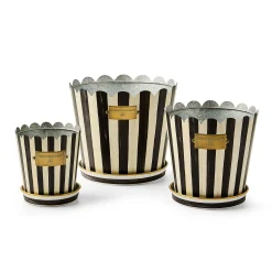 Courtly Stripe Pots & Saucers, Set of 3