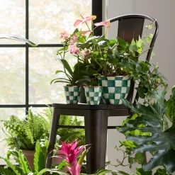 Emerald Check Herb Pots, Set of 3