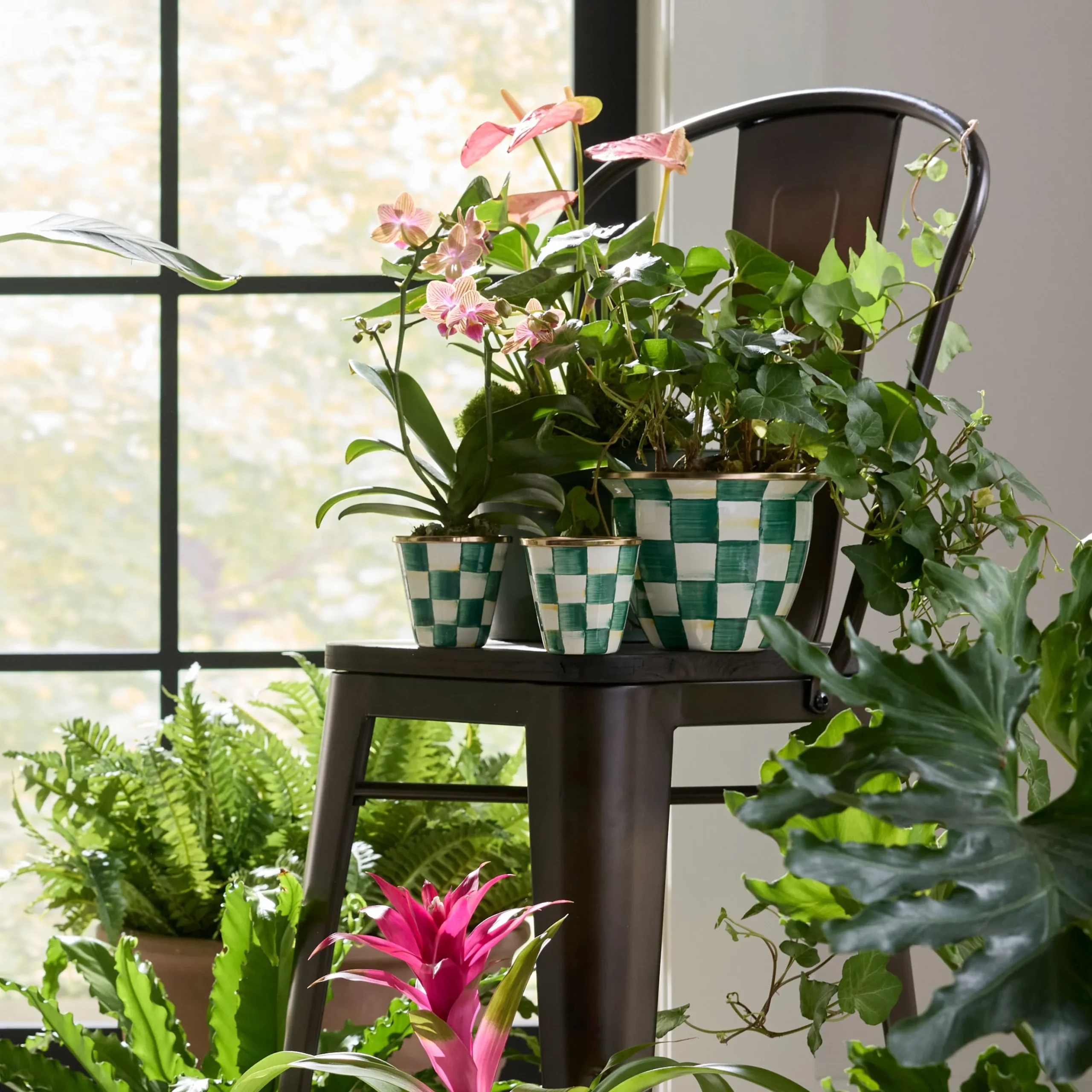 Emerald Check Herb Pots, Set of 3