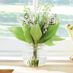 Lily Of The Valley Fresh Picks