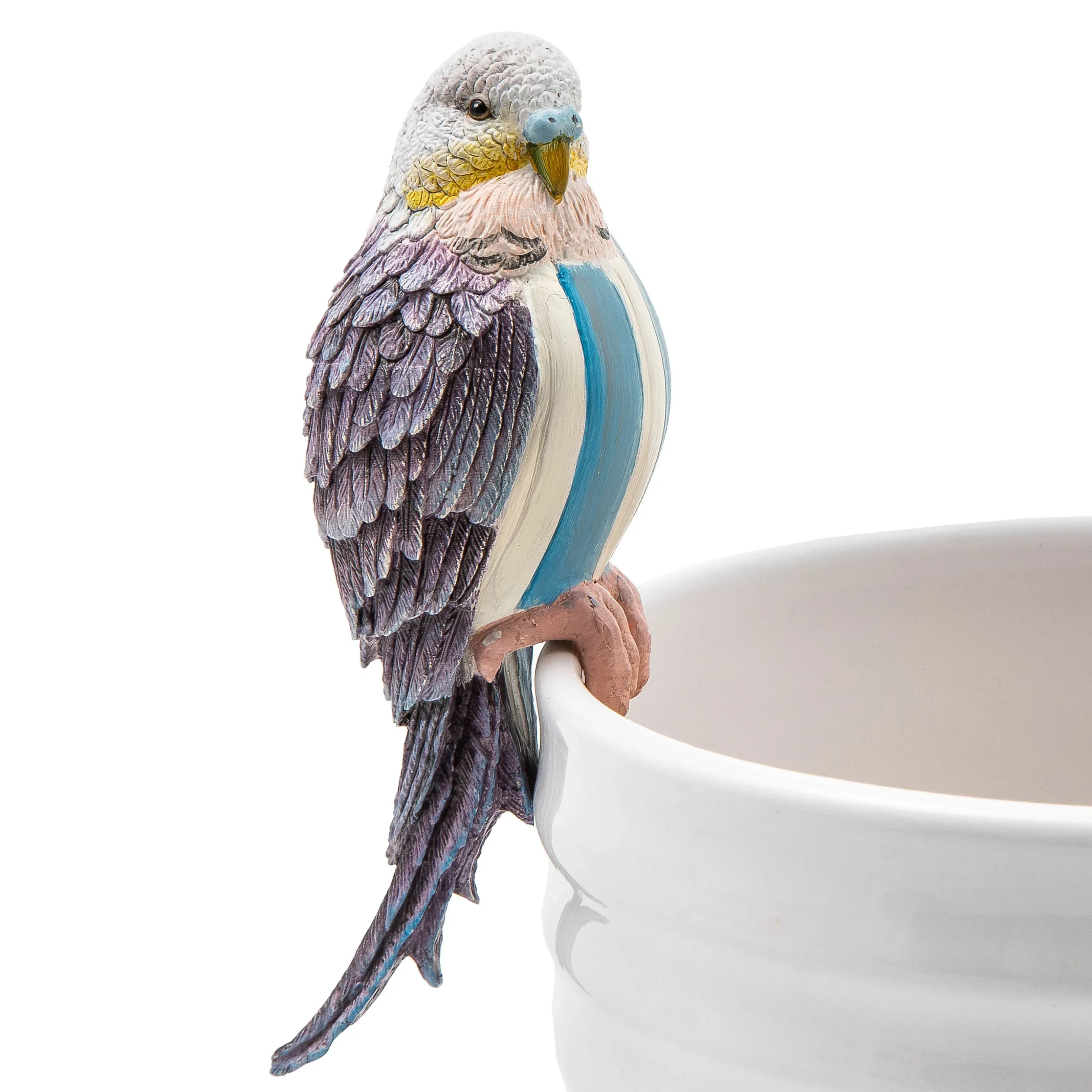 Parakeet Pot Climber - Blue