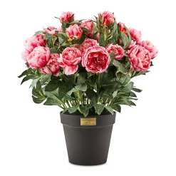 Pink Peony Urn Filler