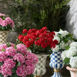 Red Geranium Urn Filler
