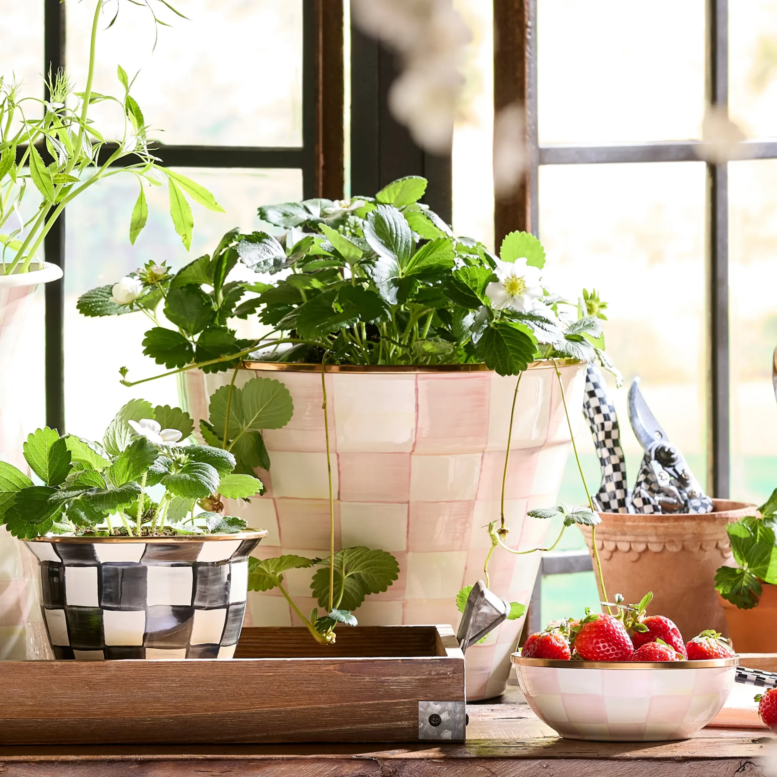 Rosy Check Extra Large Garden Pot