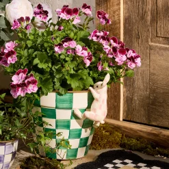 Rosy Check Funny Bunny Pot Climber