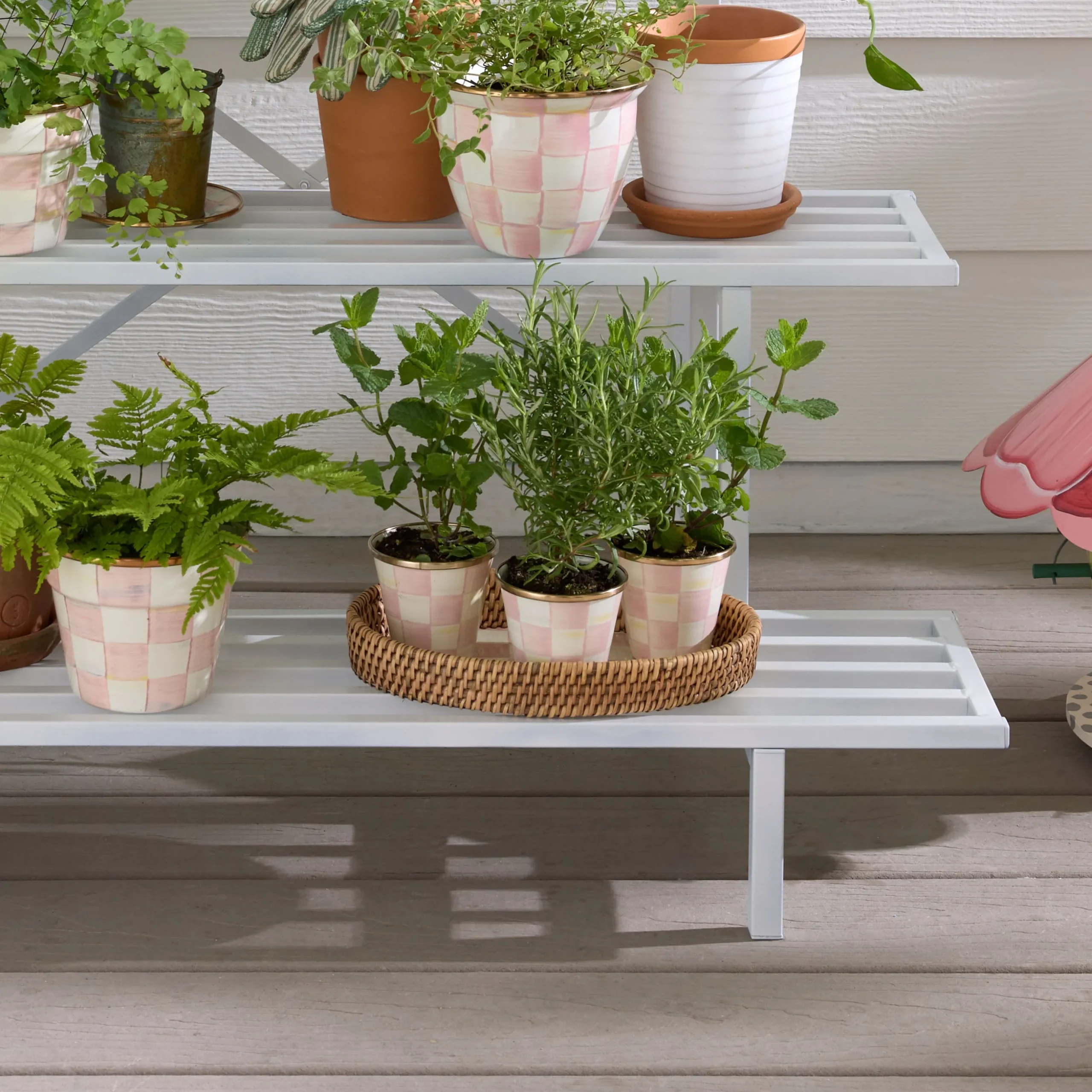 Rosy Check Herb Pots, Set of 3