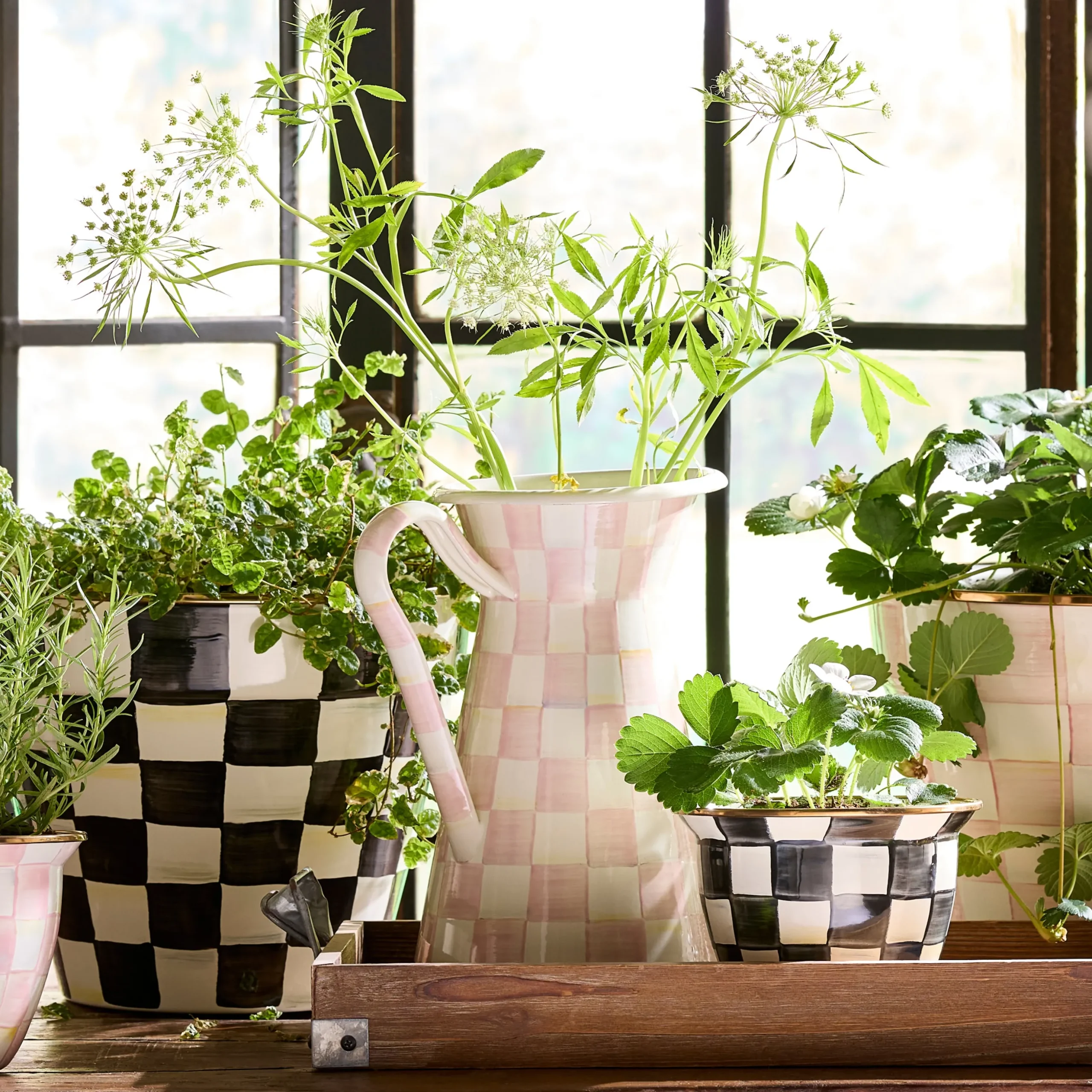 Rosy Check Large Practical Pitcher
