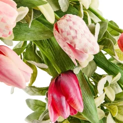 Rosy Check Tulip 28