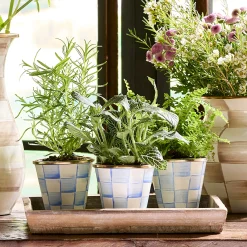 Sky Check Herb Pots, Set of 3