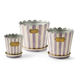 Violet Stripe Pots & Saucers, Set of 3