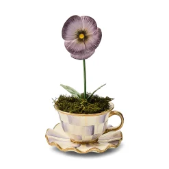 Violet Teacup Pansy