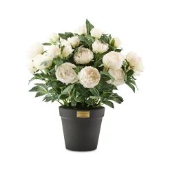White Peony Urn Filler